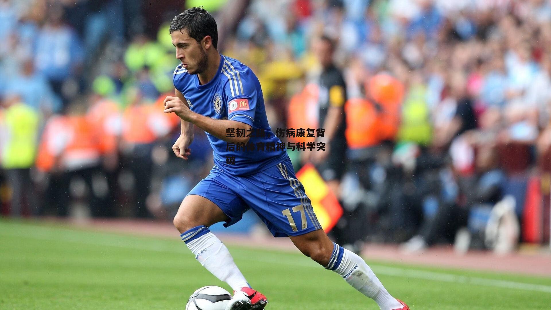 坚韧之路，伤病康复背后的体育精神与科学突破