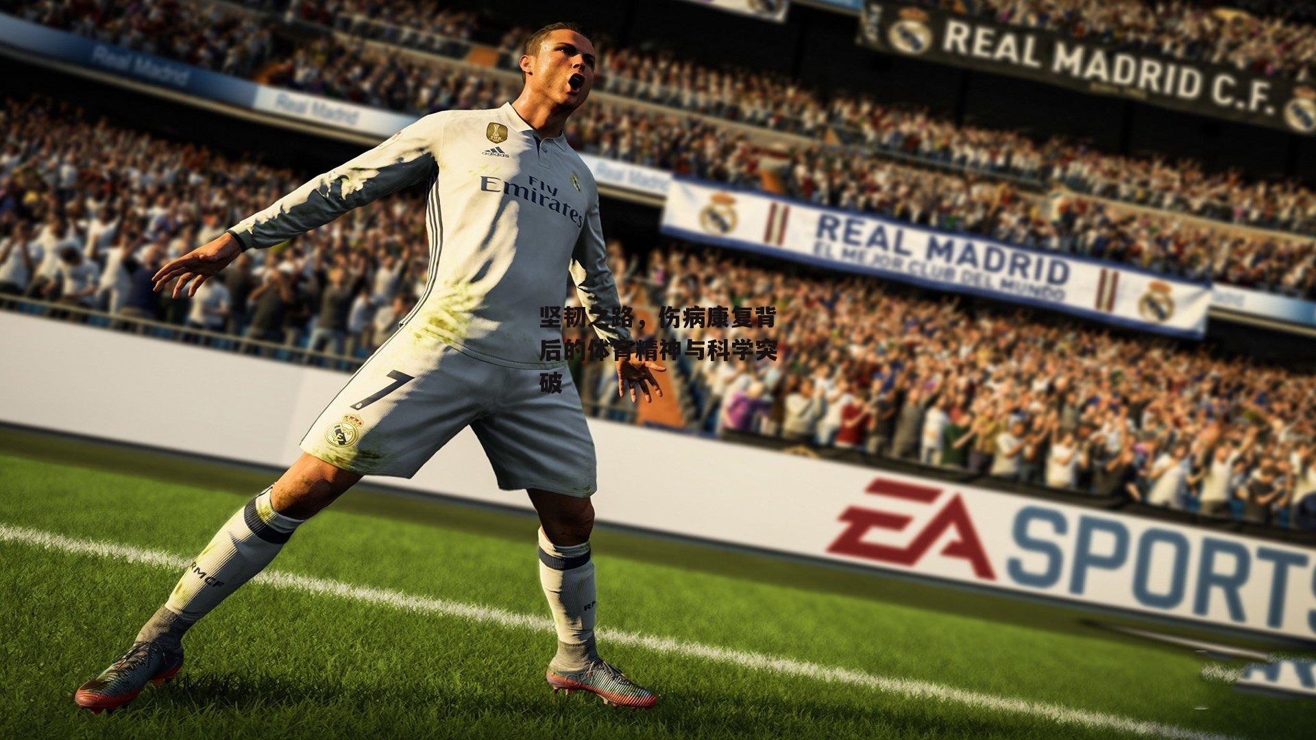 坚韧之路，伤病康复背后的体育精神与科学突破