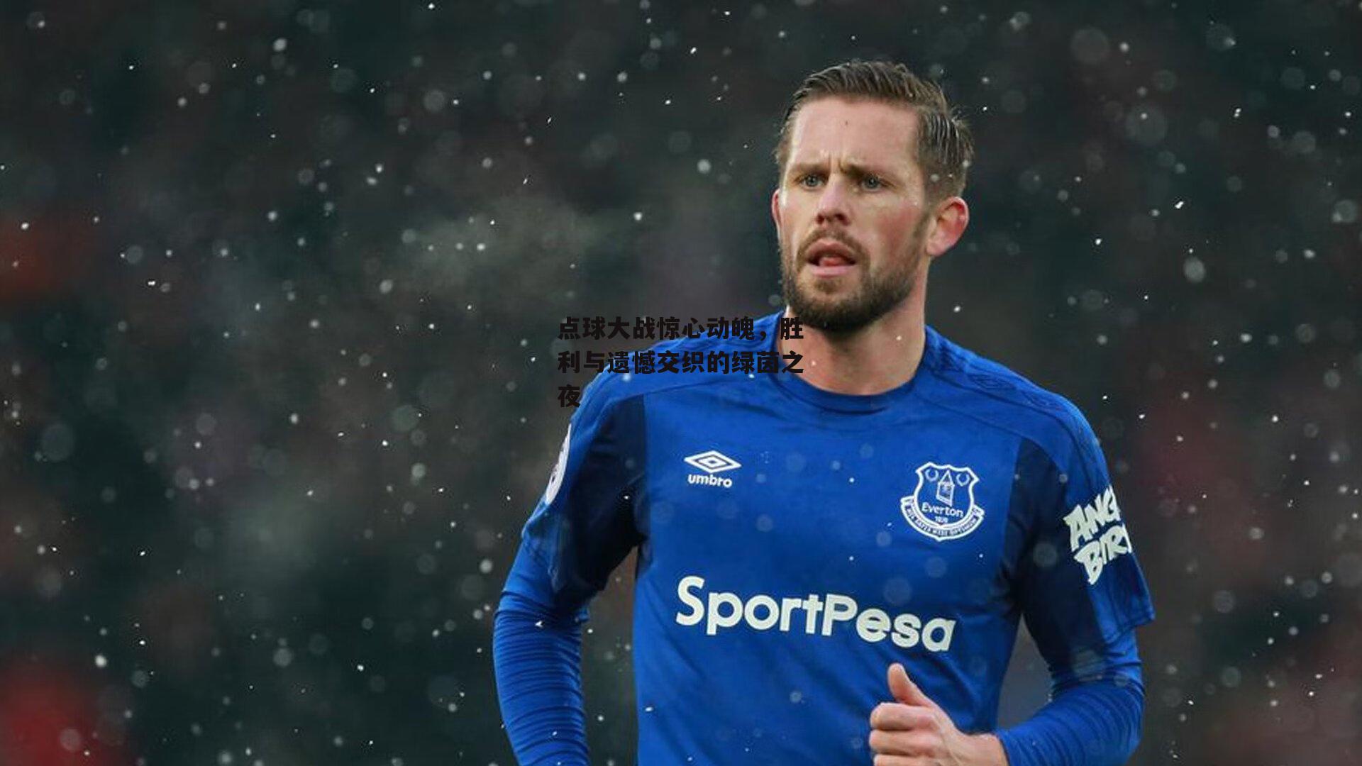 点球大战惊心动魄，胜利与遗憾交织的绿茵之夜